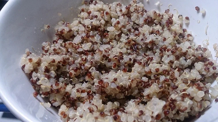 Du quinoa cuit, grains blancs et rouges gonflés, dans un saladier blanc